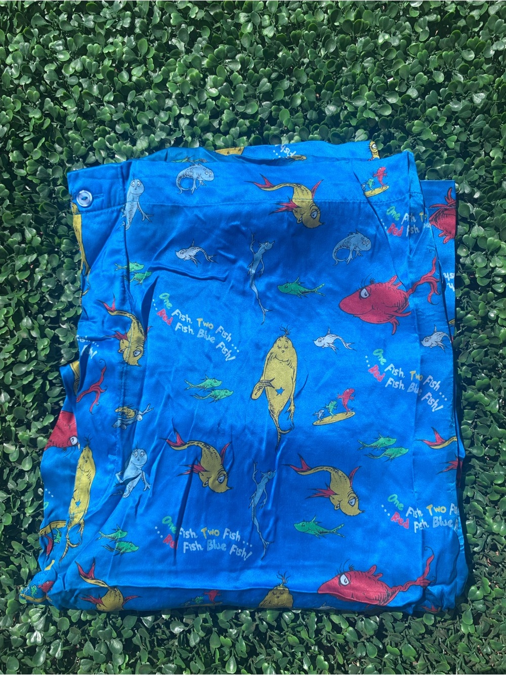 Vintage Universal Studios Dr Seuss Fish Silk Blue & Multicolor Pajama Pants